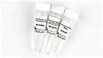 E1555S | LunaScript Multiplex One Step RT PCR Kit 50 reacti
