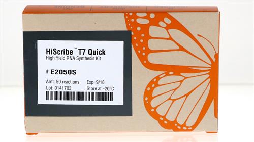 E2050S | HiScribe T7 Quick High Yield RNA Synthesis Kit 50