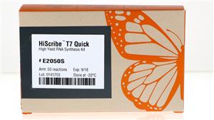 E2050S | HiScribe T7 Quick High Yield RNA Synthesis Kit 50