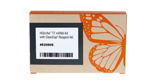 E2080S | HiScribe T7 mRNA Kit with CleanCap Reagent AG 20 r