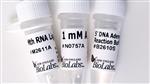 E2610S | 5 DNA Adenylation Kit 10 reactions