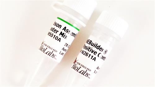 E2611S | Gibson Assembly Master Mix 10 reactions