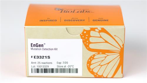 E3321S | EnGen Mutation Detection Kit 25 reactions