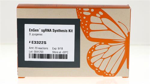 E3322V | EnGen sgRNA Synthesis Kit S. pyogenes 10 reactions