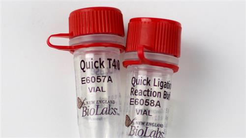 E6056L | NEBNext Quick Ligation Module 100 reactions