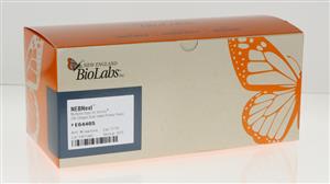 E6440S | NEBNext Multiplex Oligos for Illumina 96 Unique Du