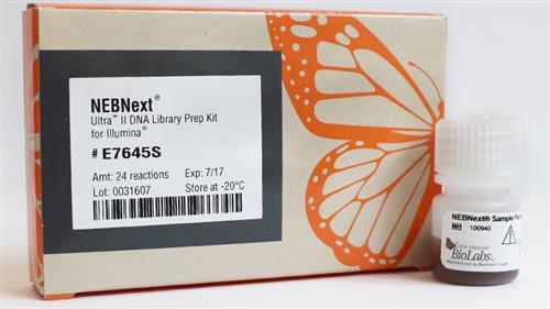 E7103S | NEBNext Ultra II DNA Library Prep with Sample Puri