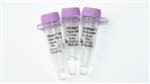 E7360S | NEBNext FFPE DNA Repair v2 Module 24 reactions