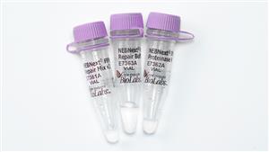 E7360L | NEBNext FFPE DNA Repair v2 Module 96 reactions