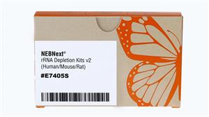 E7405X | NEBNext rRNA Depletion Kit v2 Human Mouse Rat with