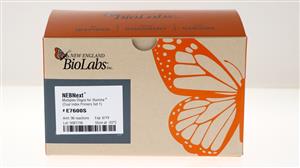 E7600S | NEBNext Multiplex Oligos for Illumina Dual Index P