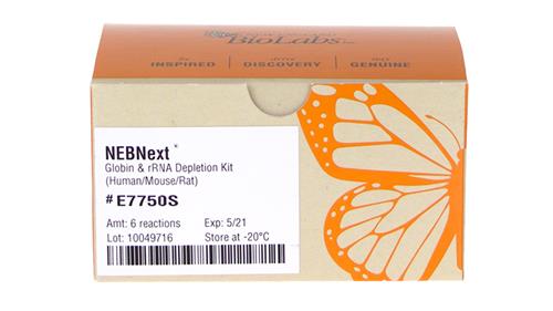 E7750L | NEBNext Globin rRNA Depletion Kit Human Mouse Rat