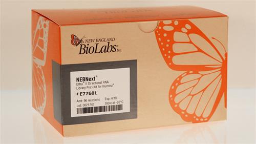 E7760S | NEBNext Ultra II Directional RNA Library Prep Kit