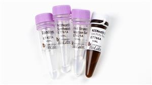 E7771L | NEBNext Ultra II RNA First Strand Synthesis Module