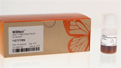 E7775L | NEBNext Ultra II RNA Library Prep with Sample Puri