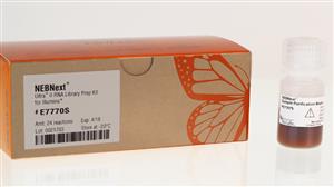 E7775L | NEBNext Ultra II RNA Library Prep with Sample Puri