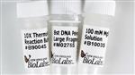 M0275L | Bst DNA Polymerase Large Fragment 8000 units