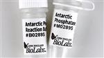 M0289L | Antarctic Phosphatase 5000 units