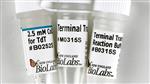 M0315L | Terminal Transferase 2500 units