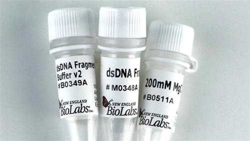 M0348L | NEBNext dsDNA Fragmentase 250 reactions
