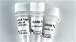 M0348L | NEBNext dsDNA Fragmentase 250 reactions