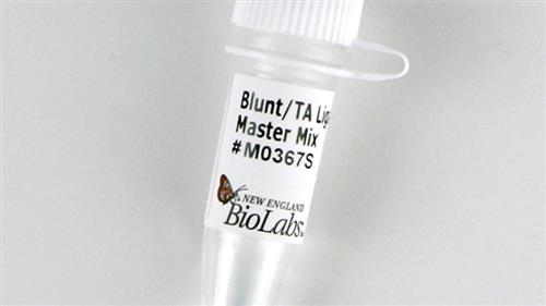 M0367S | Blunt TA Ligase Master Mix 50 reactions