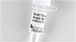 M0367S | Blunt TA Ligase Master Mix 50 reactions