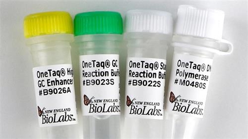 M0480L | OneTaq DNA Polymerase 1000 units