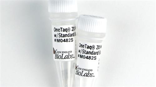 M0482S | OneTaq 2X Master Mix with Standard Buffer 100 reac