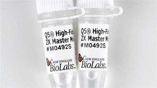 M0492L | Q5 High Fidelity 2X Master Mix 500 reactions