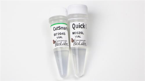 M0525L | Quick CIP 5000 units