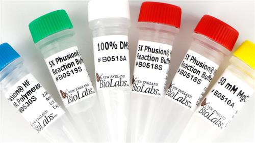 M0530L | Phusion High Fidelity DNA Polymerase 500 units