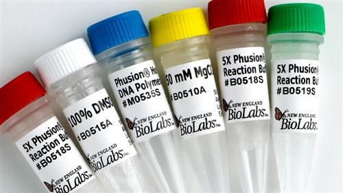 M0535S | Phusion Hot Start Flex DNA Polymerase 100 units