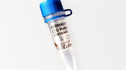 M0544L | NEBNext Ultra II Q5 Master Mix 250 reactions