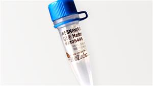 M0544X | NEBNext Ultra II Q5 Master Mix 500 reactions