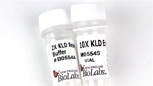M0554S | KLD Enzyme Mix 25 reactions