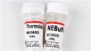 M0568S | Thermolabile Exonuclease I 3000 units