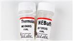 M0568S | Thermolabile Exonuclease I 3000 units