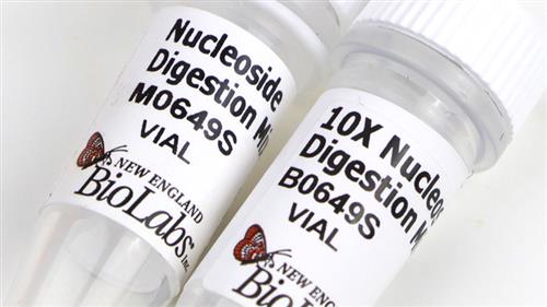 M0649S | Nucleoside Digestion Mix 50 reactions