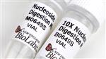 M0649S | Nucleoside Digestion Mix 50 reactions