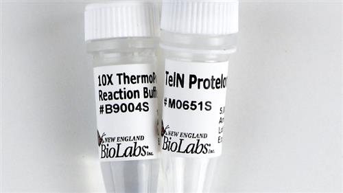 M0651S | TelN Protelomerase 250 units