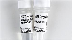 M0651S | TelN Protelomerase 250 units