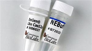 M0653T | EnGen Lba Cas12a Cpf1 2000 pmol