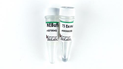 M0663L | T5 Exonuclease 5000 units