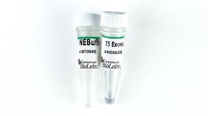 M0663L | T5 Exonuclease 5000 units