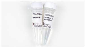 M0665S | Tth Argonaute TtAgo 50 pmol