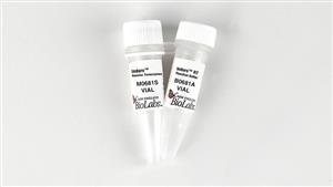 M0681L | Induro Reverse Transcriptase 10000 units