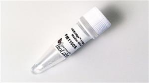 M1100S | NEBridge Ligase Master Mix 50 reactions