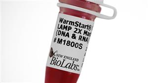 M1800S | WarmStart Colorimetric LAMP 2X Master Mix DNA RNA