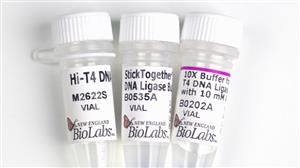 M2622L | Hi T4 DNA Ligase 100000 units
